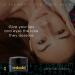 Redmint Eye & Lip Balm | Hydrating TCM Formula | Soothes & Protects Delicate Skin | 10 ml - Buy Online on GoSupps.com