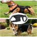 Dog Back Bandage for Arthritis & IVDD - Surgical Recovery & Rehabilitation Support | Prevent Back Disease - Buy Online on GoSupps.com