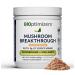 BIOptimizers Mushroom Coffee Alternative Salted Caramel Drink Lion s Mane Chaga Reishi + Collagen Peptides for Focus Energy & Gut Health Adaptogenic Mushrooms & MCT Powder 15 Servings Salted Caramel - 15 Servings