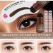 Waterproof Eyebrow Stamp Stencil Kit - 24 Stencils, Brush, Trimmer (Dark Brown) - Buy Online on GoSupps.com