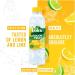 Volvic Touch of Fruit Natural Low Sugar Flavored Water Lemon & Lime 500ml Pack of 12 - Buy Online on GoSupps.com