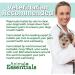 Animal Essentials Pet Supplements for Dog and Cat 1 fl oz (30 ml) - Top Quality Nutrition for Your Pets - Buy Online on GoSupps.com