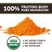 Longevity Botanicals Organic Cordyceps Mushroom Powder - 3.5 oz - Promotes Energy, Endurance, and Stamina - 100% Fruiting Body Extract - Buy Online on GoSupps.com