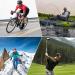 Bonddi Polarized Sports Glasses for Men | Unbreakable TR90 Frame | UV400 Protection for Cycling Golf Baseball & Running Black/Gray - Buy Online on GoSupps.com