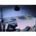 LANDEN Low-Profile Clear Acrylic Aquarium Glass Cover Clips Holder for 4mm Glass Lid - 12pcs/Pack Minimalist Compatible with Rimless Tanks of All Thicknesses Cover Clips 12pcs/pack - Buy Online on GoSupps.com