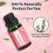Eucalyptus Essential Oil | 100% USDA Organic | Therapeutic Grade for Massage Diffuser & Henna - 0.16 Fl Oz - Buy Online on GoSupps.com