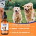 Premium Grass-Fed Liquid Collagen for Dogs - Skin and Coat Support Supplement with Biotin Vitamin C and Hyaluronic Acid - Buy Online on GoSupps.com