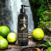 BWOW Professional Beard Shampoo for Men - Refreshing Cleanse and Condition Revitalising Lebanese Cedarwood Bay Leaf & Lime - Vegan Woodland Essence 250ml Infused with Lebanese Cedarwood Bay Leaf & Lime offering a vibrant sensory experience tailored for th - Buy Online on GoSupps.com