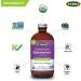 Flora Organic Elderberry & Echinacea Immune Support - 8.5 fl oz (250 ml) - Buy Online on GoSupps.com