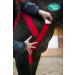 Vetkin Vetkintape Kinesiology Tape for Animals - 6cm x 5m | Strong Latex-Free Kinesiotape for Horses & Dogs | T V-Certified | 25% Stronger Adhesive - Buy Now! - Buy Online on GoSupps.com