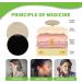 Tinnitus Patch - Portable Treatment for Tinnitus Patients - Buy Online on GoSupps.com