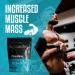 Creatine Monohydrate Powder 250g - 50 Servings, Unflavoured | High Quality Supplement - Buy Online on GoSupps.com