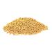 The Spice Way Yellow Mustard Seed - 6 oz Resealable Bag | Whole Seeds - Buy Online on GoSupps.com