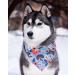 Aring Pet Dog Bandana | Cotton Flower Neckerchief for Small & Large Dogs & Cats - Blue Flower Design - Buy Online on GoSupps.com