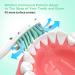 Pisonicleara Replacement Toothbrush Heads (6 Pc) Compatible with Philips Sonicare E-Series Hx7022/55 - Elite CleanCare, Essence, Advance, Xtreme - Electric Toothbrush Refill - Buy Online on GoSupps.com