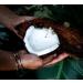 Buy 6 x Organic Coconut Milk 270 ml | Fairtrade Original | Sri Lanka | Ideal for Asian Dishes | 100% Organic & Natural - Buy Online on GoSupps.com
