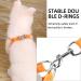 Rennaio No Pull Dog Harness & Leash Set - Adjustable Puppy Dishes with Linen Clips for Small & Medium Dogs - Ultra Breathable Padded Breast - Pumpkin S - Buy Online on GoSupps.com