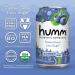 Humm Probiotic Kombucha Variety Pack - 12 Flavors, Organic, 2 Billion Probiotics, Gut Health - Mango Passionfruit, Blueberry Mint, Strawberry Lemonade - 12 Fl Oz (Pack of 12) - Buy Online on GoSupps.com