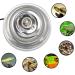 Buy Aiicioo Reptil 5.5 Aluminum Reflecting Dome Light for Lizards & Chameleons - Removable Ceramic Head & ON/AUS Tax Cable - Optimal Heat & Light Solution - Buy Online on GoSupps.com