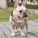 Buy Heele Dog Crockery & Reflective Anti-Pull Harness for Medium Dogs | Camouflage Desert Design - Adjustable Front/Back Clips Padded Handle Ships Internationally - Buy Online on GoSupps.com