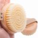 Dry Brushing Body Brush Premium Wood Wet and Dry Body Brush for Easy to Carry Dry Body Brush Soft Exfoliates and exfoliates Dead Skin Cells and Cellulite  Leaving Skin Soft and Radiant Beech hair body brush