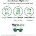MigraLens OverView Fit-Over Glasses | Medium Size | Green Lenses for Migraine Relief | Use Outdoors & with Computer Screens | Unisex - Buy Online on GoSupps.com