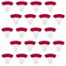 100 Individually Packaged Herzlutscher Lollies - Cherry Flavor - Perfect for Weddings Birthdays & Parties - 900g Sweet Treats for Guests - Buy Online on GoSupps.com