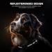 Premium IP68 Waterproof Airtag Dog Collar - Reflective & Durable for Medium-Sized Dogs | Apple Airtag Holder | Black - Buy Online on GoSupps.com