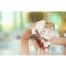 The Body Shop Ginger Anti Dandruff Shampoo Green Honey 400ml - Pack of 1 - Buy Online on GoSupps.com