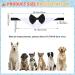 Hacraho Formal Pet Fly Collar - Adjustable White Tuxedo Costume for Medium & XL Dogs | Perfect for Weddings & Birthdays - Buy Online on GoSupps.com