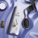 Dove Intensive Repair Conditioner 200 ml - Bio Restore Complex for Damaged Hair - Pack of 6 | International Shipping Available - Buy Online on GoSupps.com