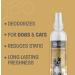 Pet Health Pros Dog Deodorizing Spray - Long Lasting Cologne for Dogs and Cats - 8 oz Sugar Cookie Scent - Buy Online on GoSupps.com
