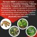 Canadian Vita Ginseng Formula 4MEN - Natural Ingredient Supplement - Canadian Ginseng/Tribulus Terrestris/Tongkat Ali/Epimedium Brevicornu - Energy/Immunity/Focus/Stress Relief - Buy Online on GoSupps.com