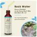 Original Bach Flower Drops No. 27 Rock Water 20ml - Be Less Strict with Yourself | International Shipping Available - Buy Online on GoSupps.com