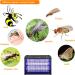 AffyBulb 2-Pack 10W Replacement Bulbs for Fly Killer & Insect Zapper - 13in T8 BL368 UV Tubes - Buy Online on GoSupps.com