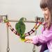 Bonaweite Bird Parrot Toys - Colorful Step Ladder Swing Bridge for Pet Training - 12 Ladders - Buy Online on GoSupps.com