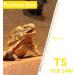DERNORD T5 UVB Fluorescent Tube - 10.0 24W UV Tube Light Bulb 24 Inch Reptile Heat Lamp Tube Light for Tortoise Bearded Dragons Vivarium Lighting 24W 10.0 - Buy Online on GoSupps.com