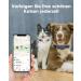 Simplethings Waterproof AirTag Dog Collar | Anti-Loss Silicone Cover for Cats & Dogs | Compatible with Apple AirTag | Pink & Purple S-12mm - Buy Online on GoSupps.com