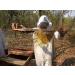 Mama Buci Top Bar Hive Zambian Pure Honey Ethically Produced Winter Harvest 340 g Dark - Buy Online on GoSupps.com