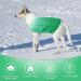 Cit toile Warm Winter Dog Sweater - Soft Knitted Turtleneck for Small & Medium Pets | Cozy Gradient Green Coat for Cold Weather - Buy Online on GoSupps.com
