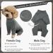 Kuoser Dog Recovery Suit - Medical Body for Dogs After Surgery Anti-Licking Wound Protection Pajamas Alternative (M Gray) - Buy Online on GoSupps.com