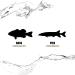 Lunkerhunt Lunker Frog Freshwater Fishing Lure - Realistic Design, 2.25 Bull Frog, 0 oz Weight - Buy Online on GoSupps.com