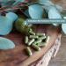 Body Magic Chlorophyll Capsules: 30 Vegan Capsules for Detox Digestion - Natural Energy Booster for Gut Health Skin Support and Oily Skin 2 Pack - Buy Online on GoSupps.com