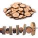 Organic Apple Wood Myive K Toy Tools - 3-Piece Small Animal Snack Toys for Rabbits Guinea Pigs Hamsters & Chinchillas | Natural Teeth Grinders - Buy Online on GoSupps.com