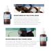Buy REAL SERUM SPECTRUM SET (7ea) | Premium Skincare for Radiant Skin - Fast Worldwide Shipping - Buy Online on GoSupps.com
