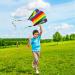 VIKY Dragons Kite for Kids - Colorful Pocket Kite 30m Dragon Cord Beginner Friendly Outdoor Flight Toy - 82cm x 52cm Rainbow Kites for Children and Adults - Buy Online on GoSupps.com