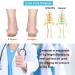 Adjustable Orthopedic 4-Layer Heel Lifts for Leg Length Discrepancy - Height Increase Insole for Men & Women with Heel Spurs, Achilles Tendonitis, Heel Pain - Cushion Inserts - Buy Online on GoSupps.com