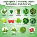 Organic Veda Greens Glow Superfoods Biotin Vegan Collagen Capsules for Hair Skin and Nails - Vitamin C E hyaluronic Acid & Chlorophyll - Moringa Green Tea Extract Antioxidants Supplement - 120 - Buy Online on GoSupps.com