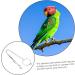 BELLIFFY 1 Set Parrot Anklet Birds Anklet Bird Harness Parrot Harness Leash Stainless Steel Bird Chain Split 24X4X0.1cm Silver - Buy Online on GoSupps.com
