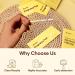 Areta HCG Pregnancy Test Strips: 25 Bulk Pregnancy Strips - Highly Accurate Kit for Rapid Results 25 count (Pack of 1) - Buy Online on GoSupps.com